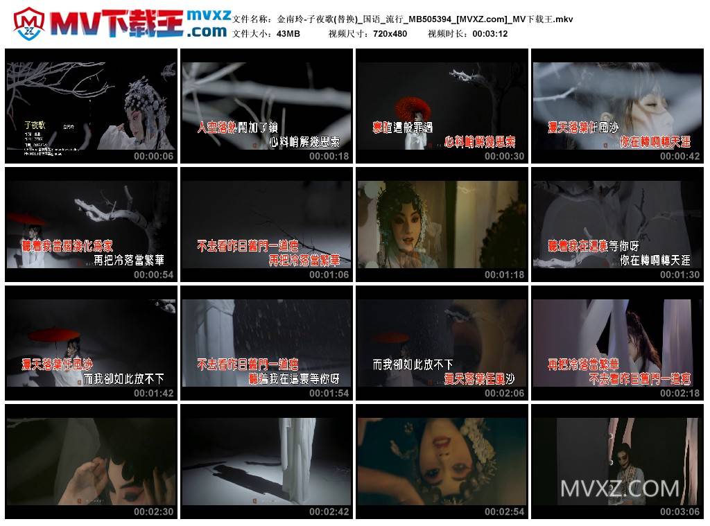 金南玲-子夜歌(替换)_国语_流行_MB505394